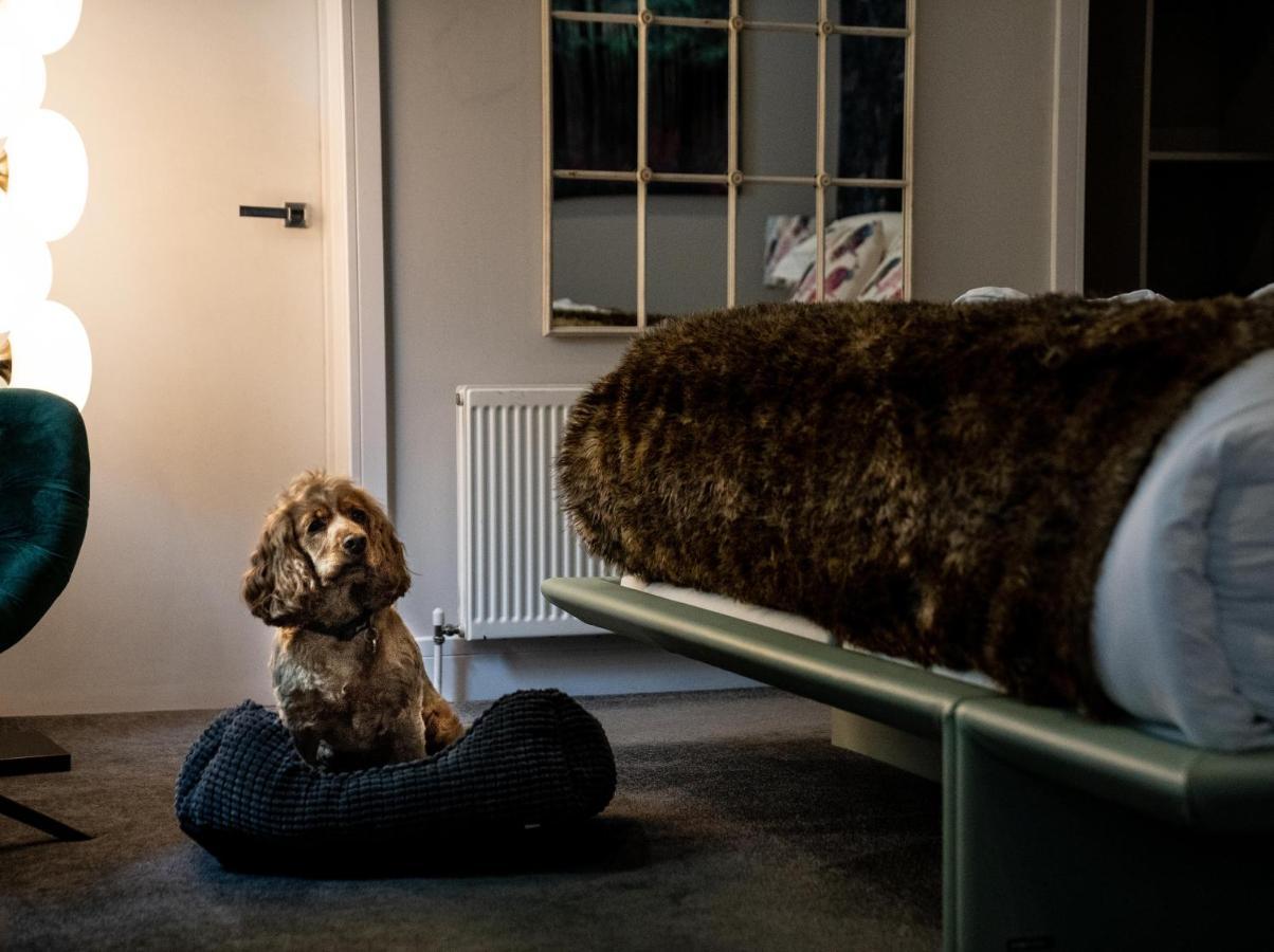 Broomhill Art Hotel 巴恩斯特珀尔 外观 照片